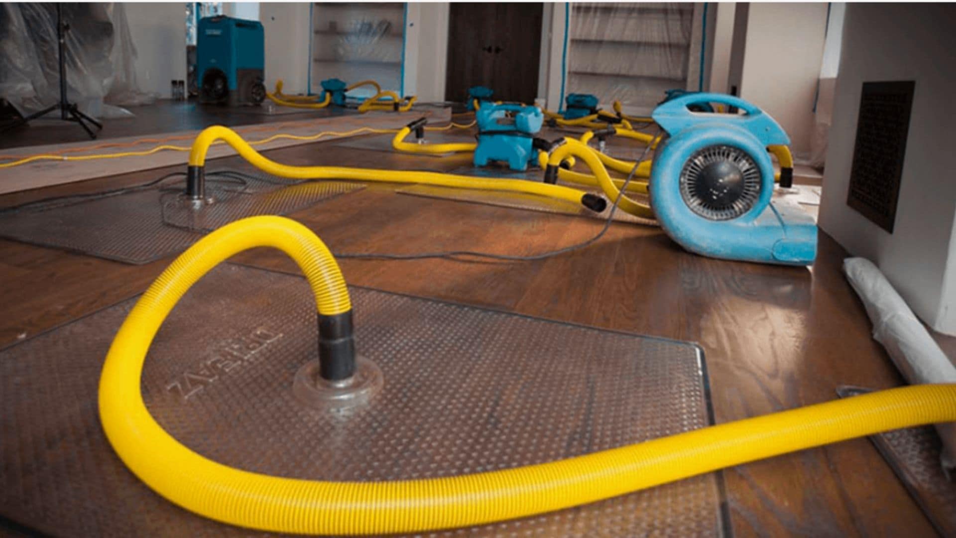 Strategies for Water Damaged Ceilings & Floors